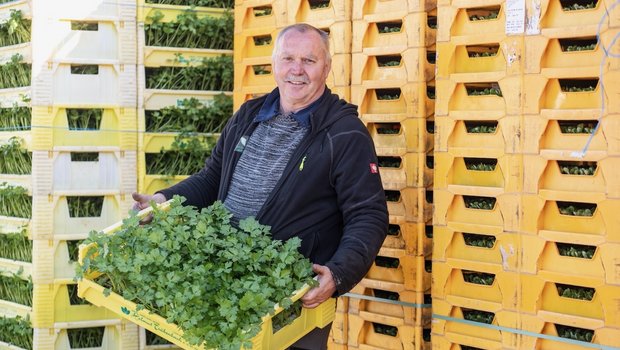 Thomas Wyssa baut in Galmiz FR auf 22 Hektar 35 Salat- und Gemüse-Sorten an. (Bild: «die grüne» / Pia Neuenschwander)