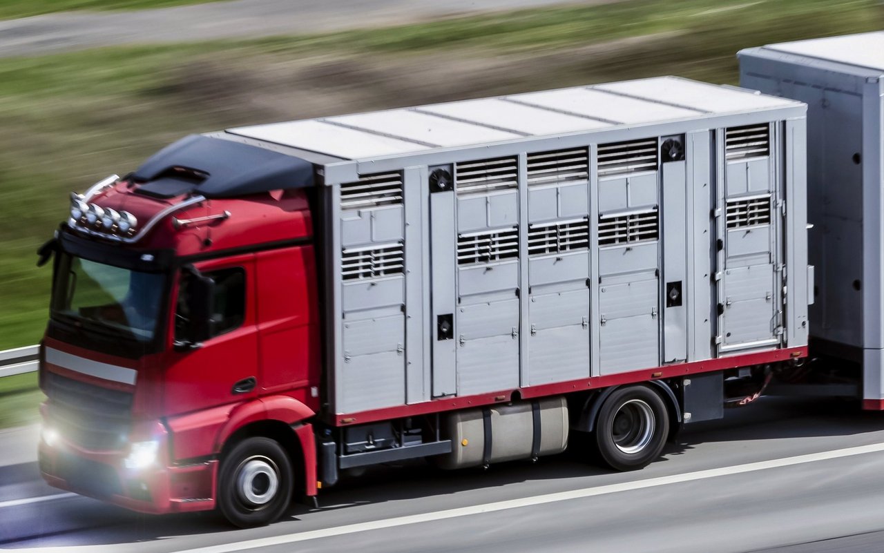 Mehrstöckiger Lastwagen für Tiertransporte auf der Autobahn.