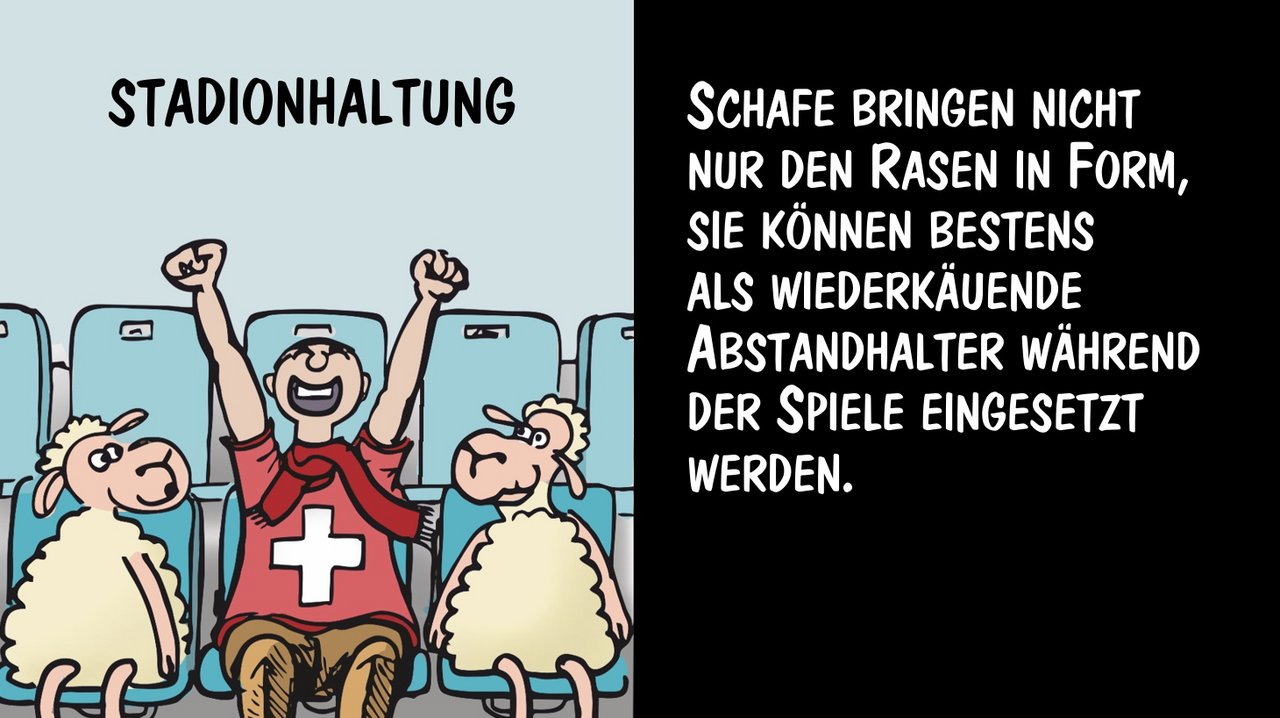 Stadionhaltung: Schafe als wiederkäuende Abstandhalter. Cartoon: Marco Ratschiller/Karma