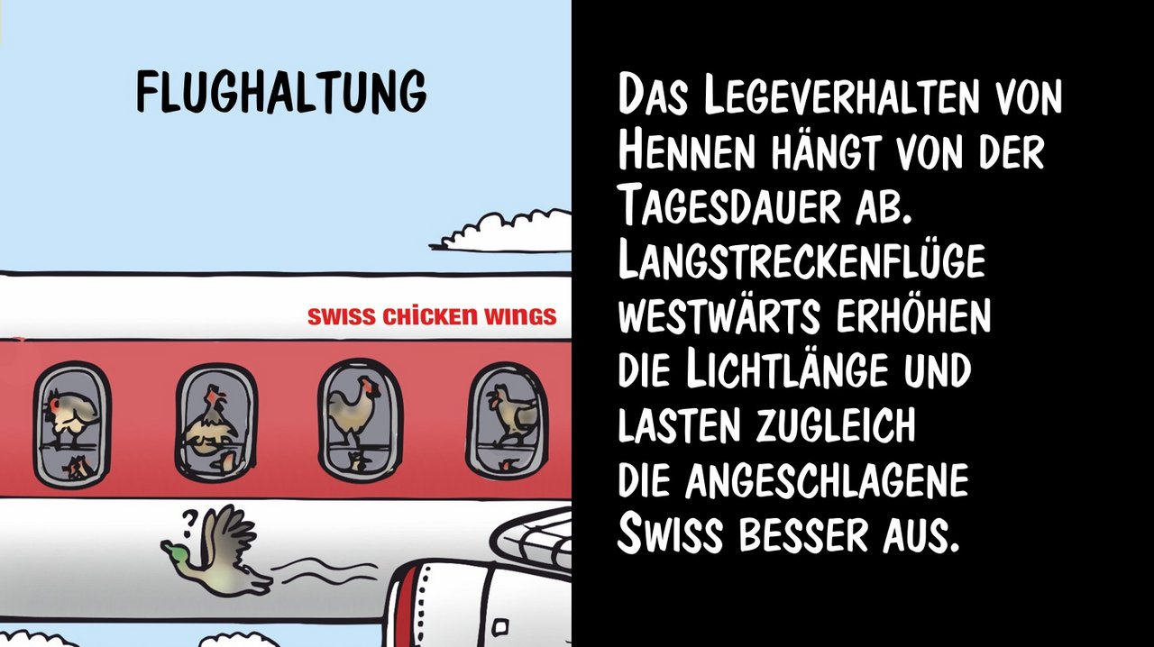 Flughaltung: Legehennen nutzen Langstreckenflüge. Cartoon: Marco Ratschiller/Karma