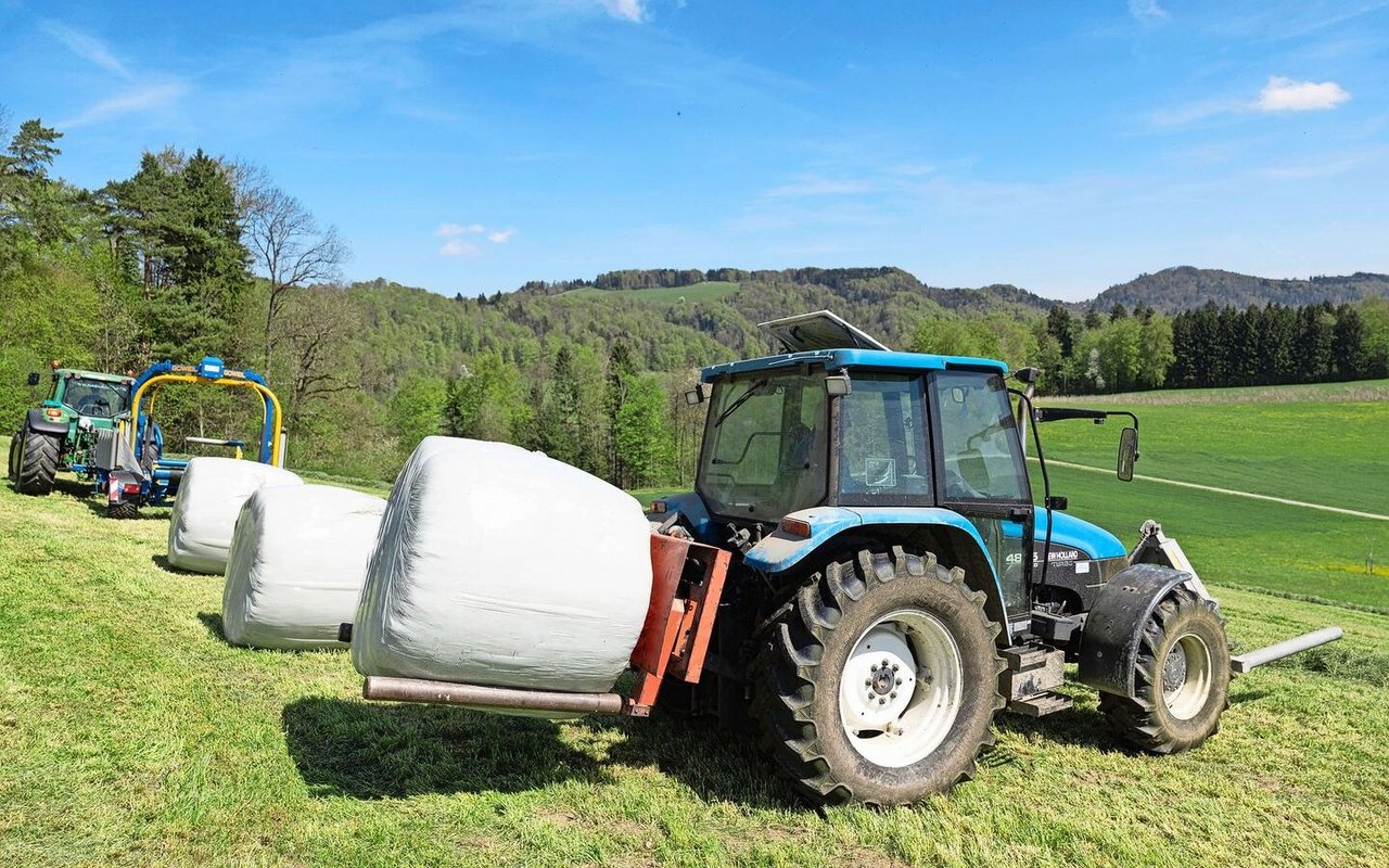 Mit Siloballen muss man sorgfältig umgehen, damit die Futterqualität bis auf den Futtertisch gebracht werden kann. Anhand der Tierleistung zeigt sich der Erfolg der Futterproduktion.