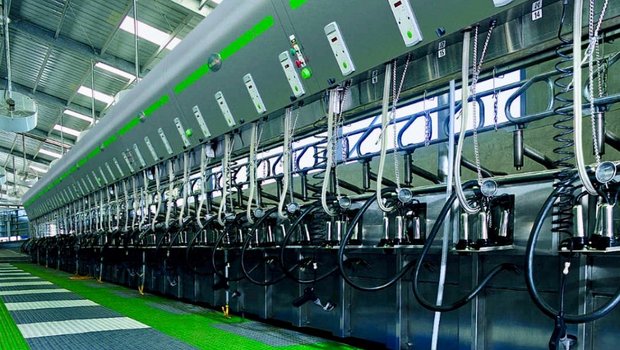 GEA Group streicht 800 Stellen und verlagert Arbeitsplätze nach Osteuropa Melkstand des deutschen Maschinenbauers GEA. Bild: zVg