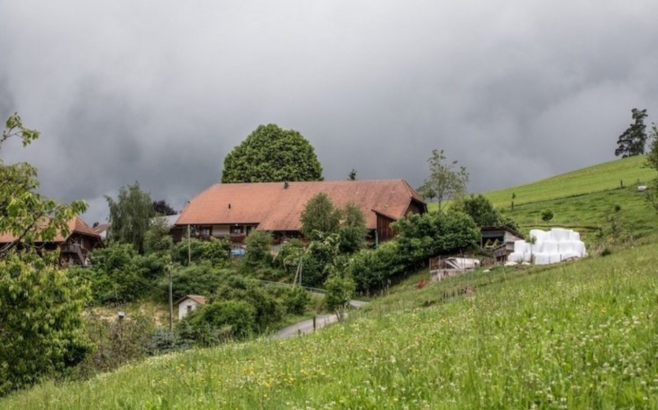 Auf dem Betrieb Wildenegg in Biembach hält die Familie Siegenthaler ihre Milchkühe, die Aufzuchttiere leben auf dem Betrieb Farnweidli. Bild: die grüne/Pia Neuenschwander