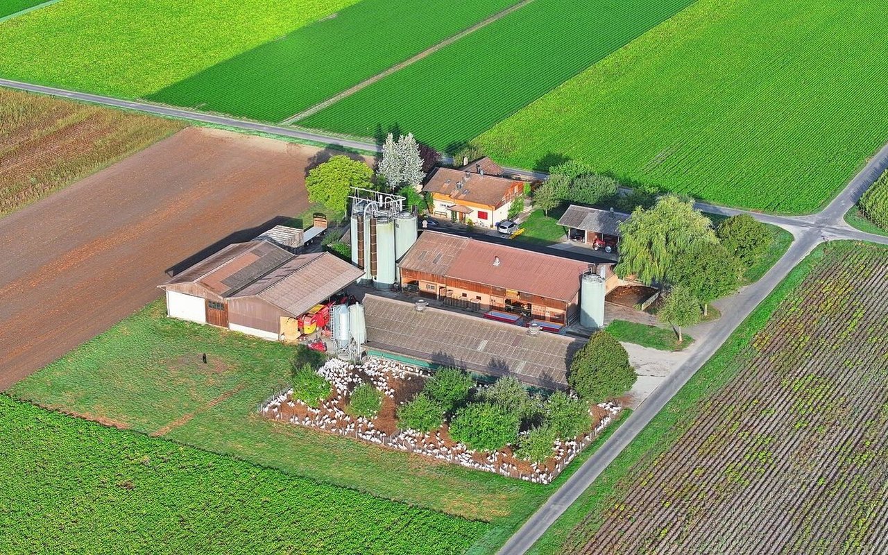 Die Truten werden nach den Richtlinien von Suisse Garantie, BTS und RAUS gehalten. 