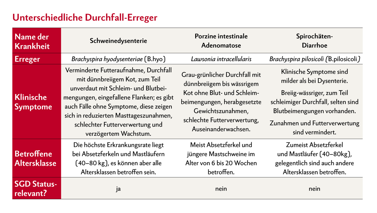 Die Tabelle zeigt drei verschiedene Erreger und die Krankheiten, die sie auslösen.