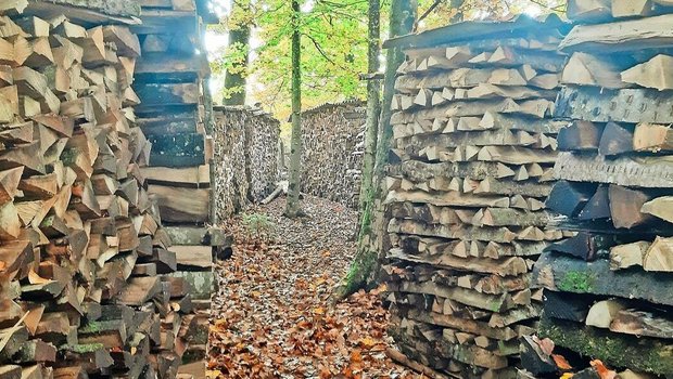 Der Bereich Energieholz hat im Kanton Bern Zukunft, darüber sind sich diverse Fachleute einig. Mit Holz gespeiste Wärmeverbunde leisteten zudem einen Beitrag dazu, weg von fossilen Brennstoffen zu kommen und so dem vom Bund gesteckten Ziel Nettonull näher zu kommen. 