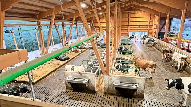 Ein Blick in den neuen Stall der Familie Baumann in Arni. Bei der Planung nahm sich Marco Baumann genügend Zeit, um die Arbeitsabläufe möglichst effizient zu gestalten.   