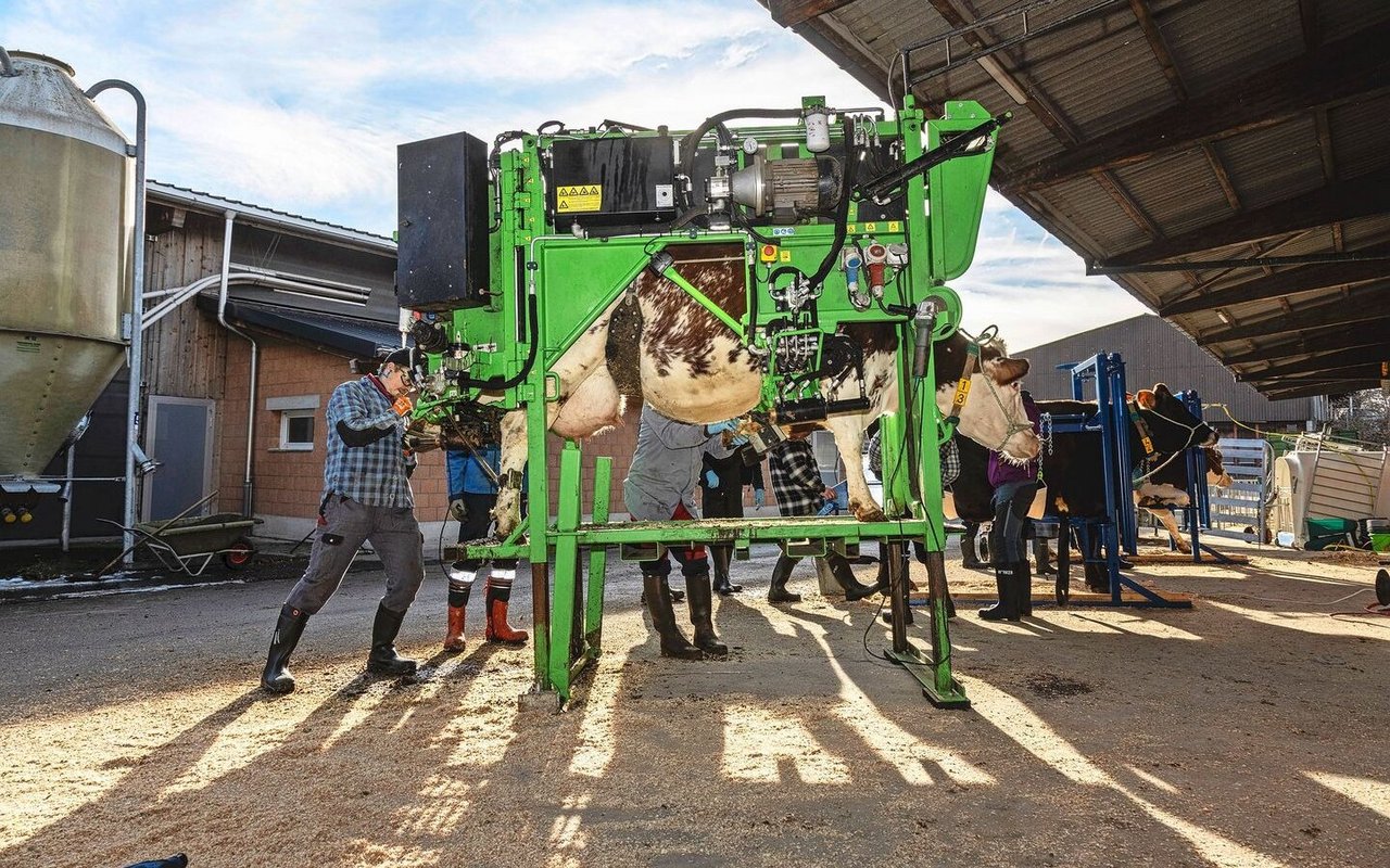 Am Kurs zur funktionellen Klauenpflege beim Rind konnten die Teilnehmenden mit diversen Klauenstandmodellen arbeiten. 