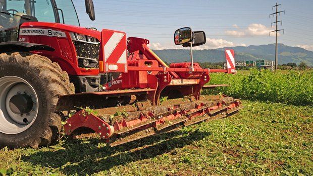 Mit Messerwalzen können Gründüngungen zerkleinert werden. Bild: Beat Schmid