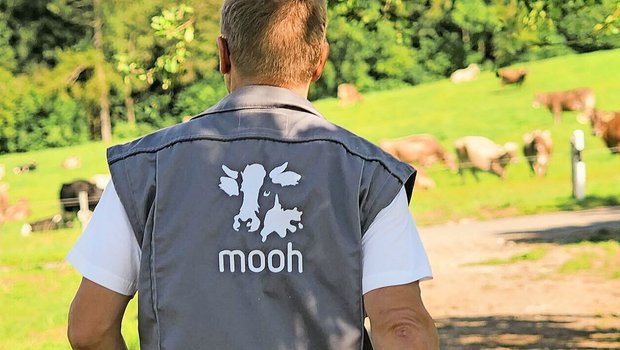 Bei der Milchgenossenschaft Mooh haben nach wie vor die Produzenten das Sagen – nun lernen sie, sich im Exportmarkt zu bewegen.