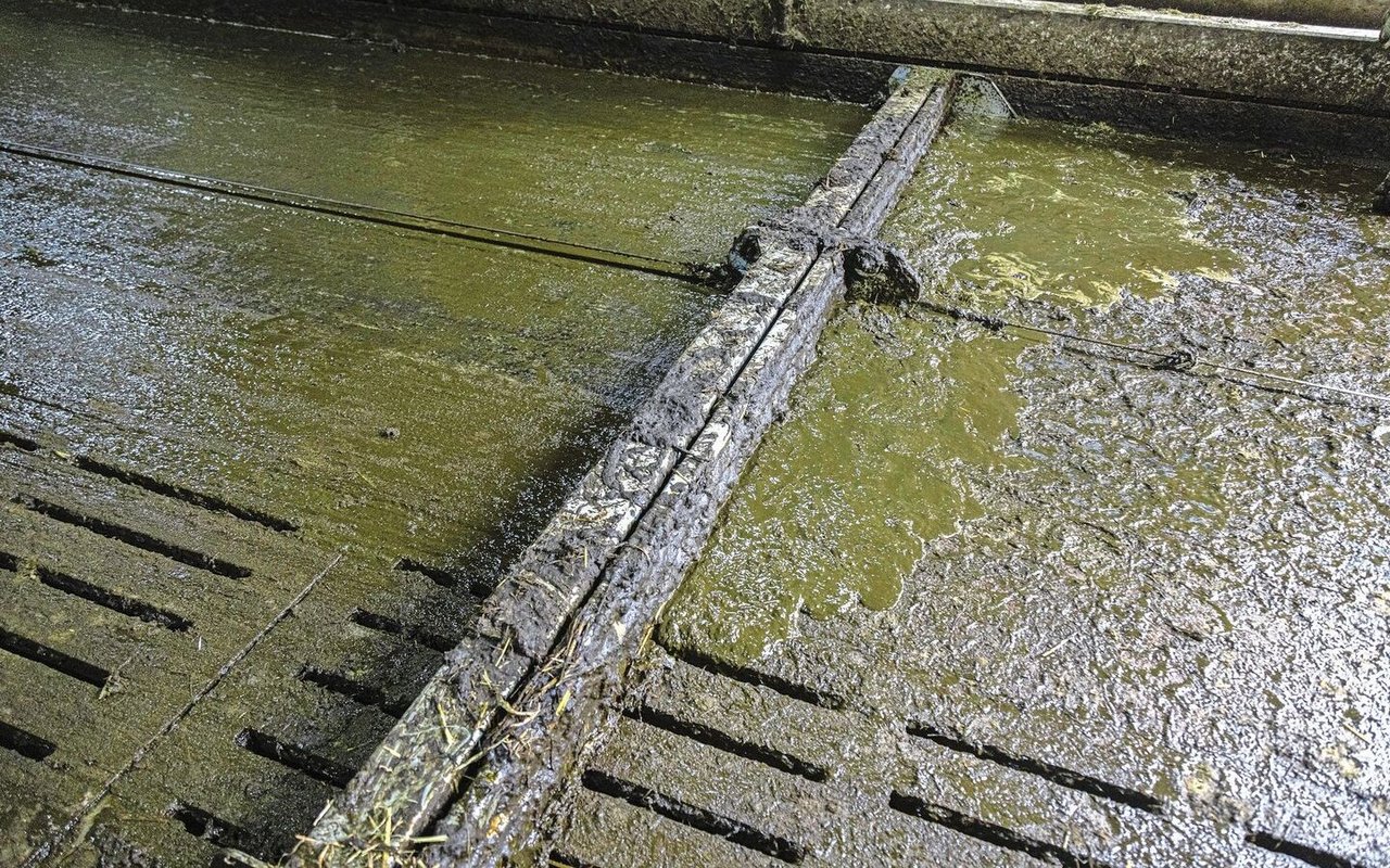 Der Mistschieber arbeitet zuverlässig und ist finanziell interessant.