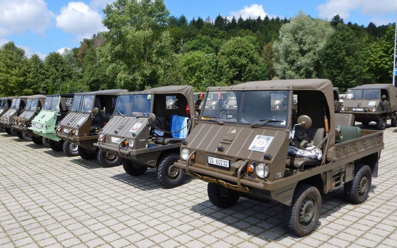 Eine Reihe von Haflinger-Geländewagen beim Haflinger-Treffen 2019.