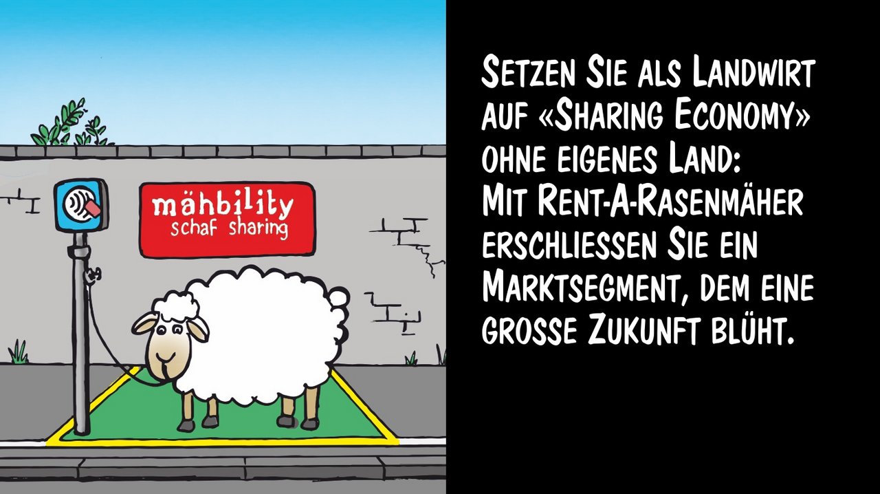 Schafe als Rasenmäher vermieten. Cartoons: Marco Ratschiller/Karma