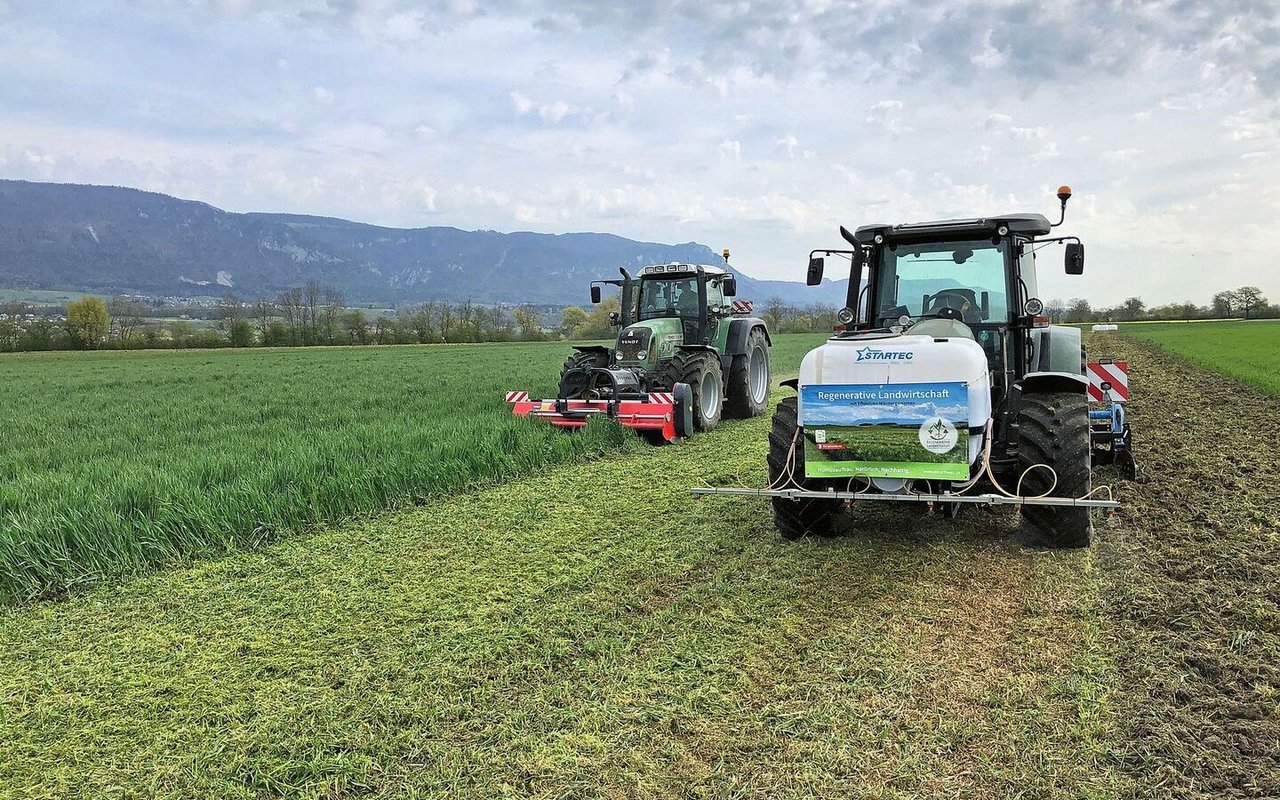 Bei der Flächenrotte wird gemulcht, Rottelenker gespritzt und gefräst.