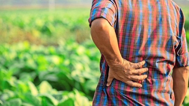 Die Taggeldversicher Die Taggeldversicherung Agri-revenu+ bietet gesundheitlich vorbelasteten LandwirtInnen eine sinnvolle Möglichkeit, sich abzusichern.