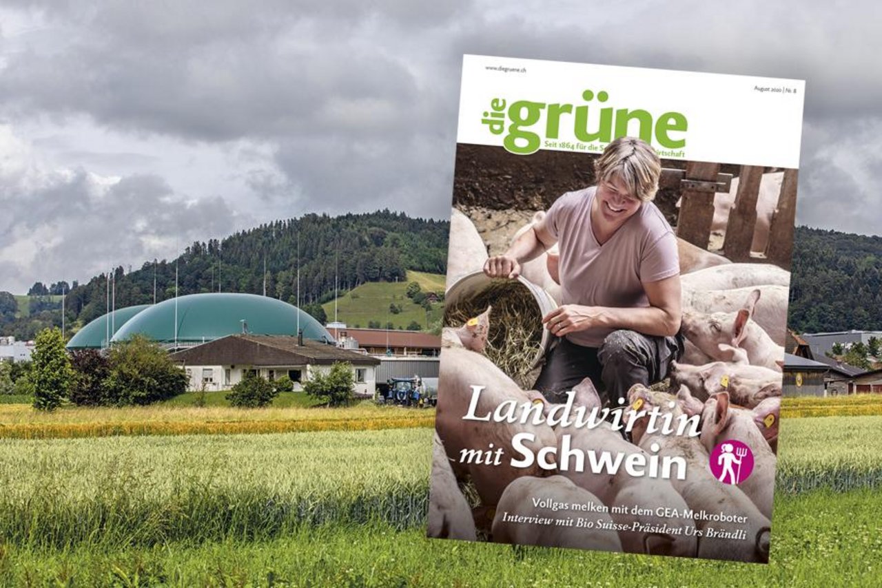 Lernen Sie in der August-Ausgabe eine Landwirtin mit Schwein und den südlichsten Bauern der Schweiz kennen. (Bild DG)
