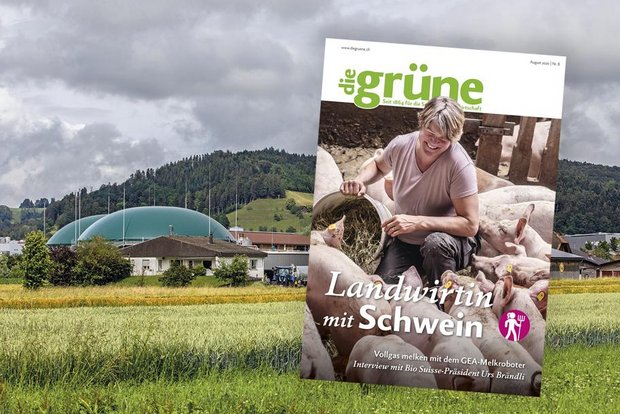 «die grüne» im August 2020 – Eine Landwirtin hat Schwein Lernen Sie in der August-Ausgabe eine Landwirtin mit Schwein und den südlichsten Bauern der Schweiz kennen. (Bild DG)