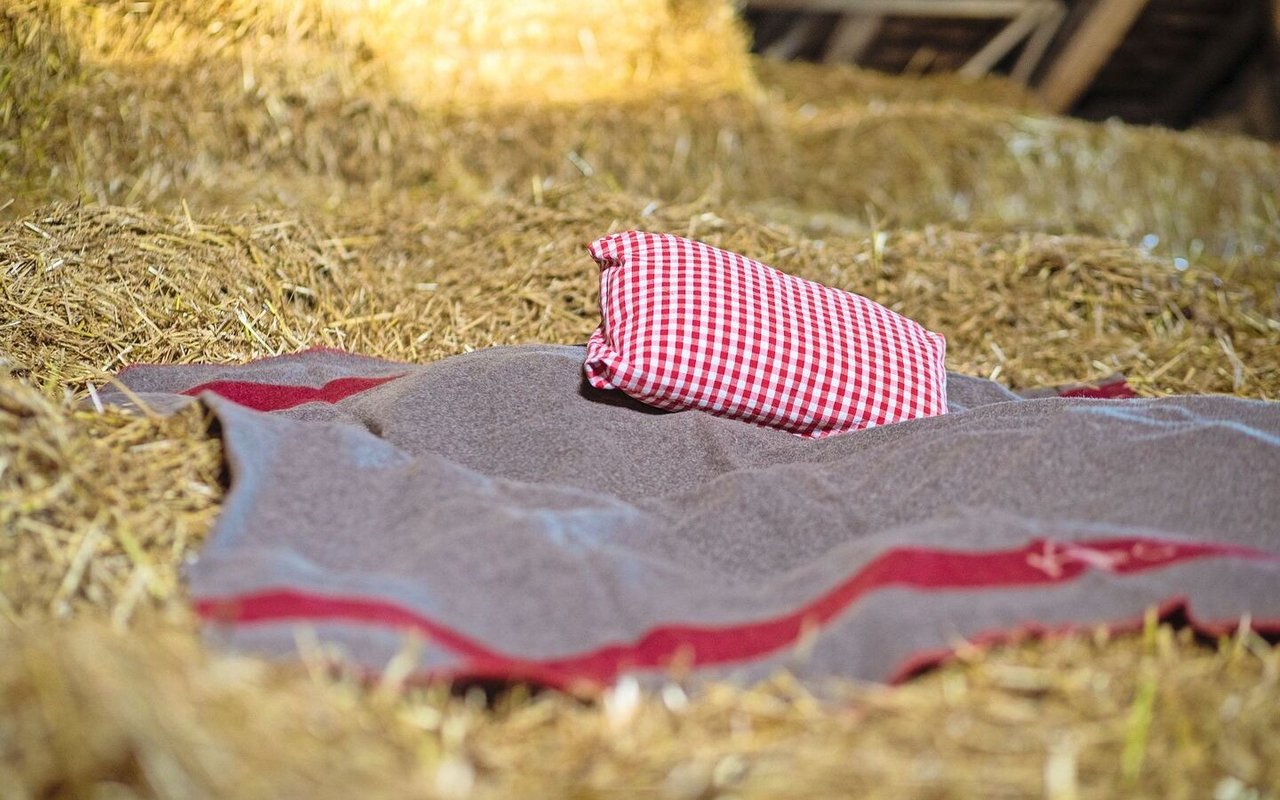 Eine Wolldecke liegt im Stroh.