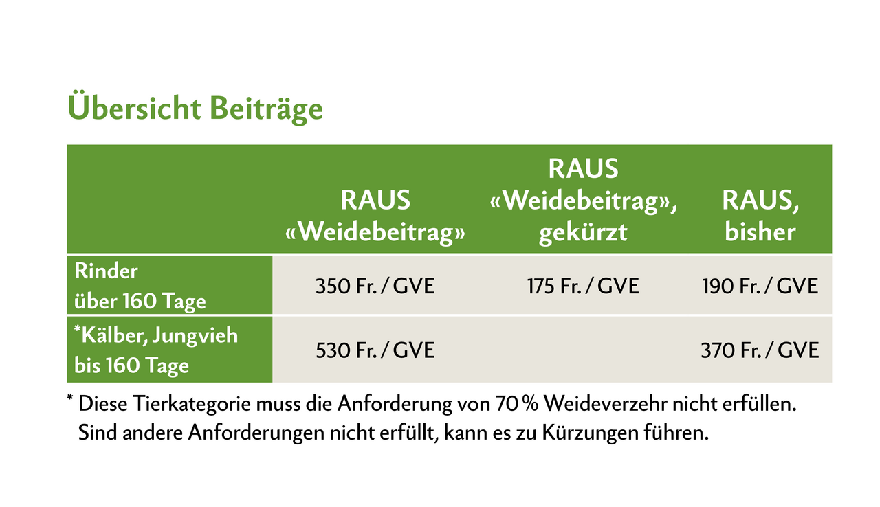 Tabelle zeigt ein Rechnungsbeispiel im Fall von Abzügen beim Weidebeitrag.