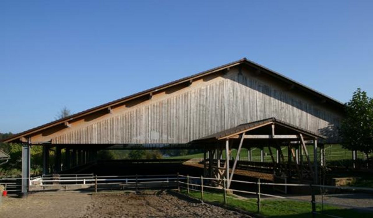 Die Reithalle der «Freestyle-Ranch» aus dem Dokumentarfilm «Alte Hofgüter – junge Ideen Unterwegs im Odenwald». Bild: hr-Fernsehen