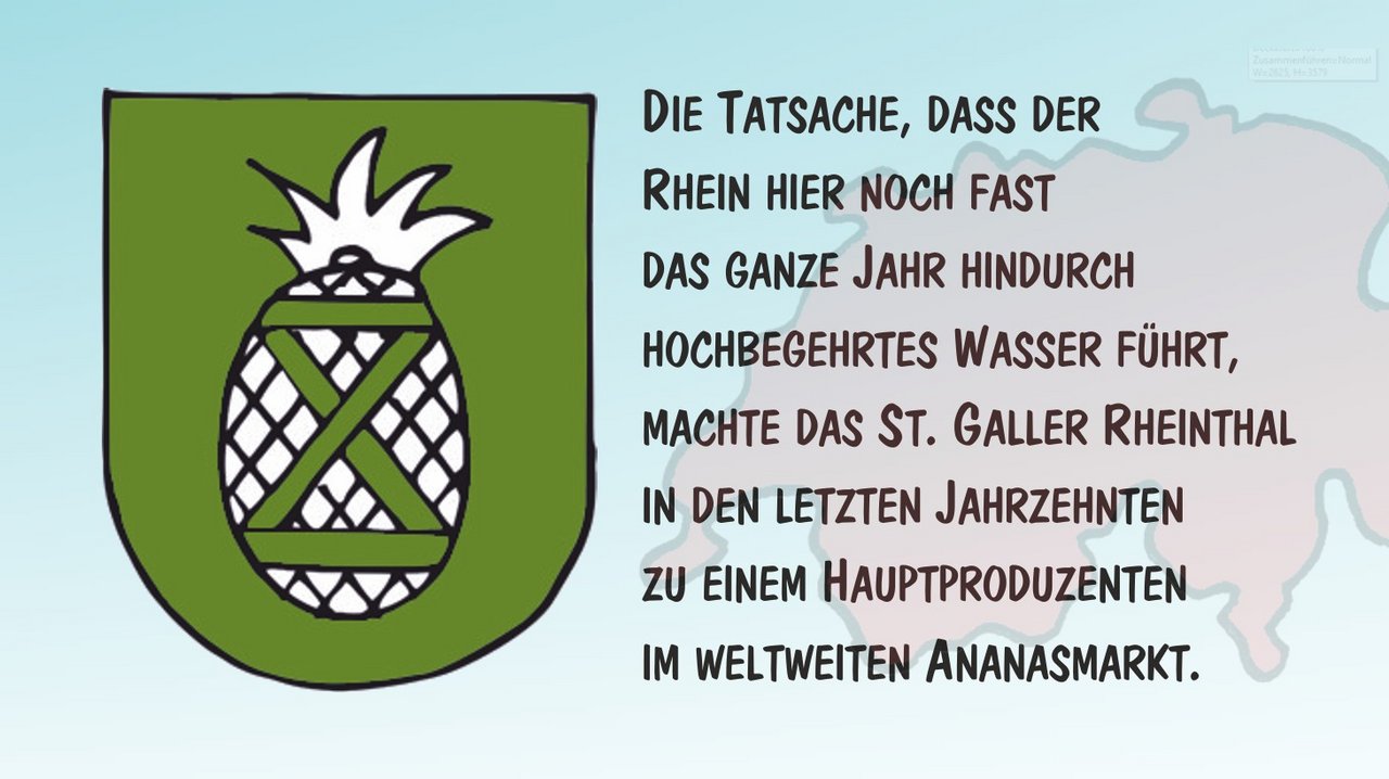 St. Galler Ananas. Cartoon von Marco Ratschiller/Karma