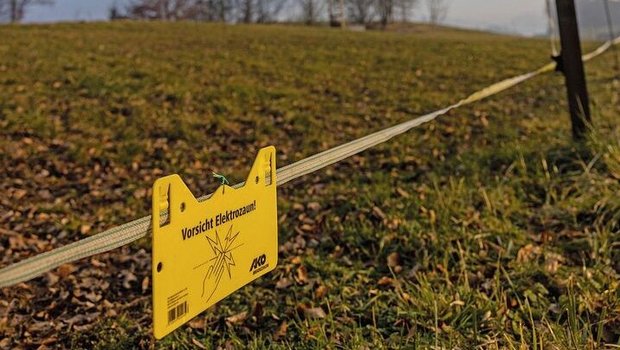 Gelbe Warnschilder hängen an den Litzen eines Weidezauns: Dieser Zaun steht unter Strom!