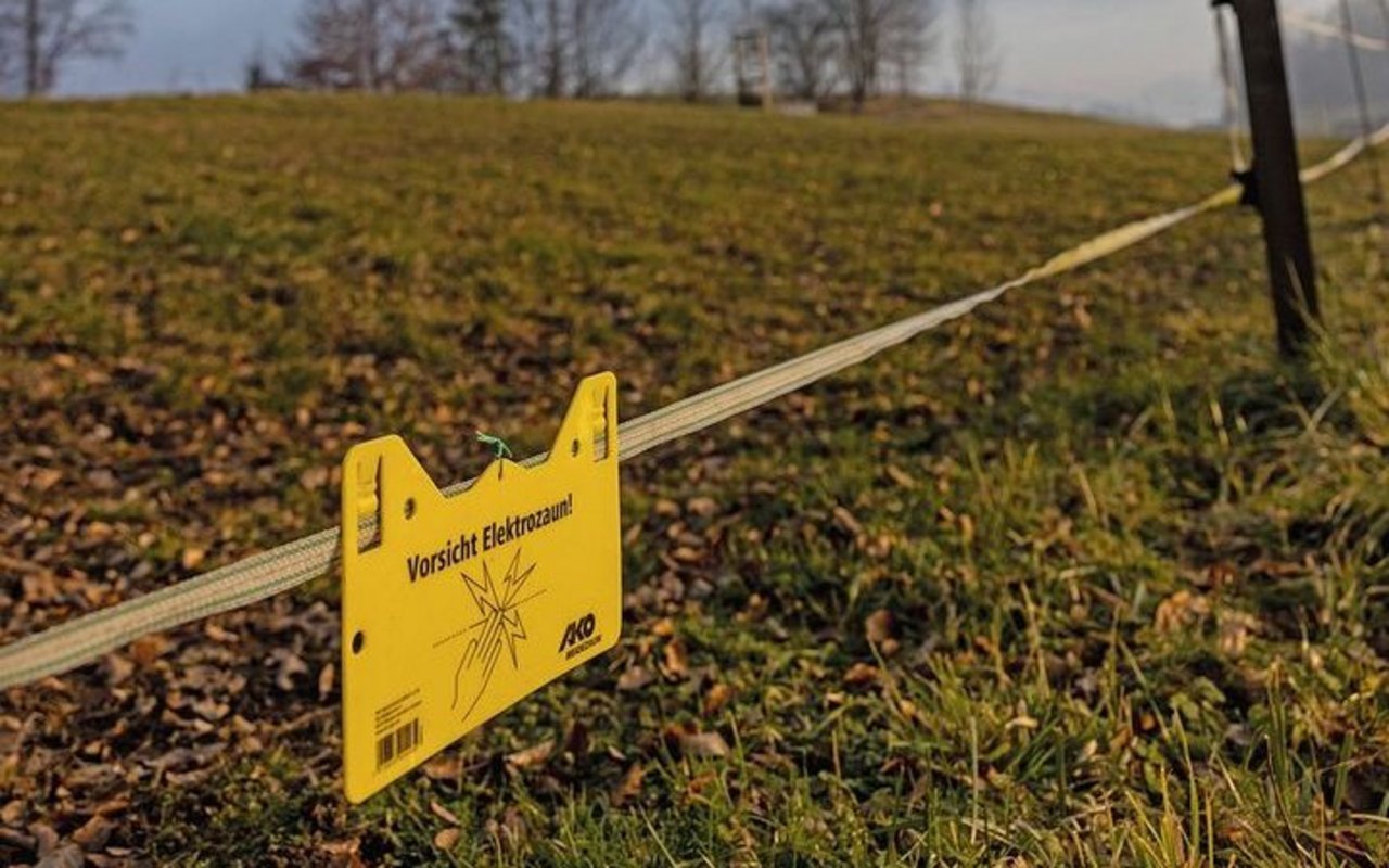 Gelbe Warnschilder hängen an den Litzen eines Weidezauns: Dieser Zaun steht unter Strom!