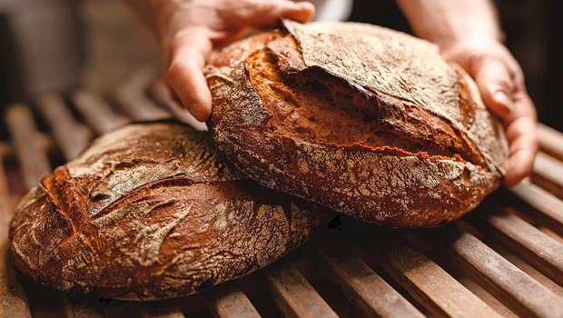 Hinter einem Brot steht eine ganze Kette von Menschen – für Swissgranum ist der Preis von weniger als einem Franken pro Pfund zu tief.