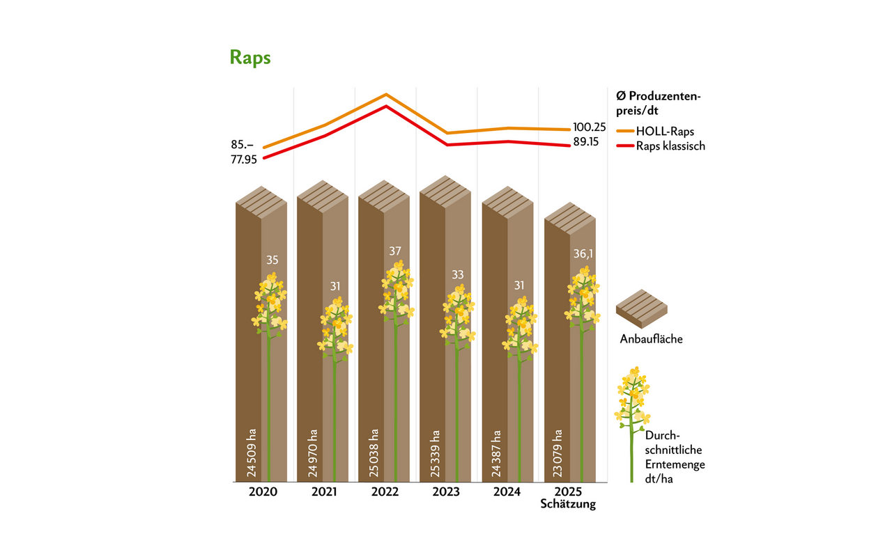 Die Preise bei Raps klassisch blieben gegenüber 2024 stabil, während sie beim HOLL-Raps um Fr. 1.85 erhöht wurden.