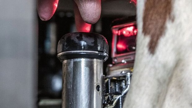 Versichert werden mü Versichert werden müssen alle Risiken, welche die Existenz eines Betriebs gefährden – zum Beispiel der Ausfall des Melkroboters.