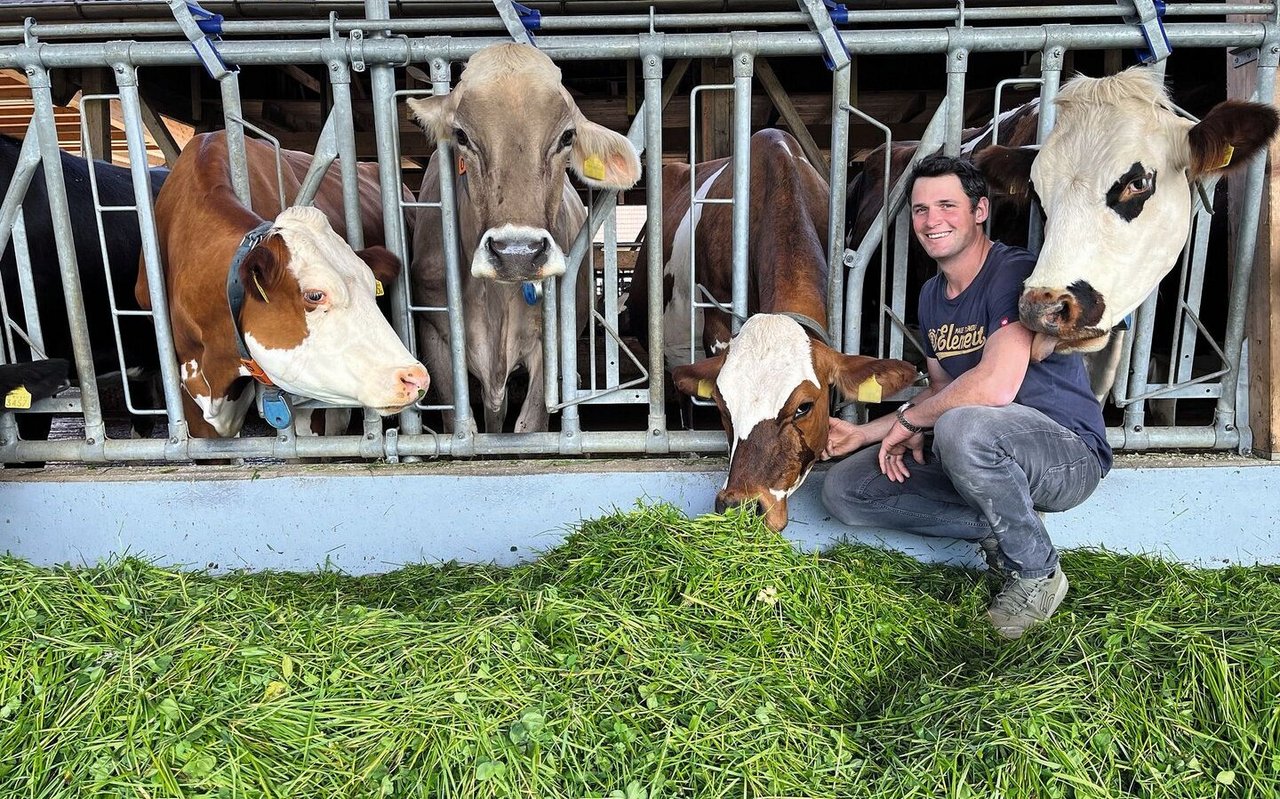 Dominik Bühlmann kniet auf dem Futtertisch im Laufstall und krault seinen Kühen den Hals.