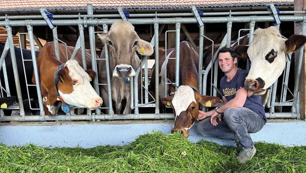 Dominik Bühlmann kniet auf dem Futtertisch im Laufstall und krault seinen Kühen den Hals.