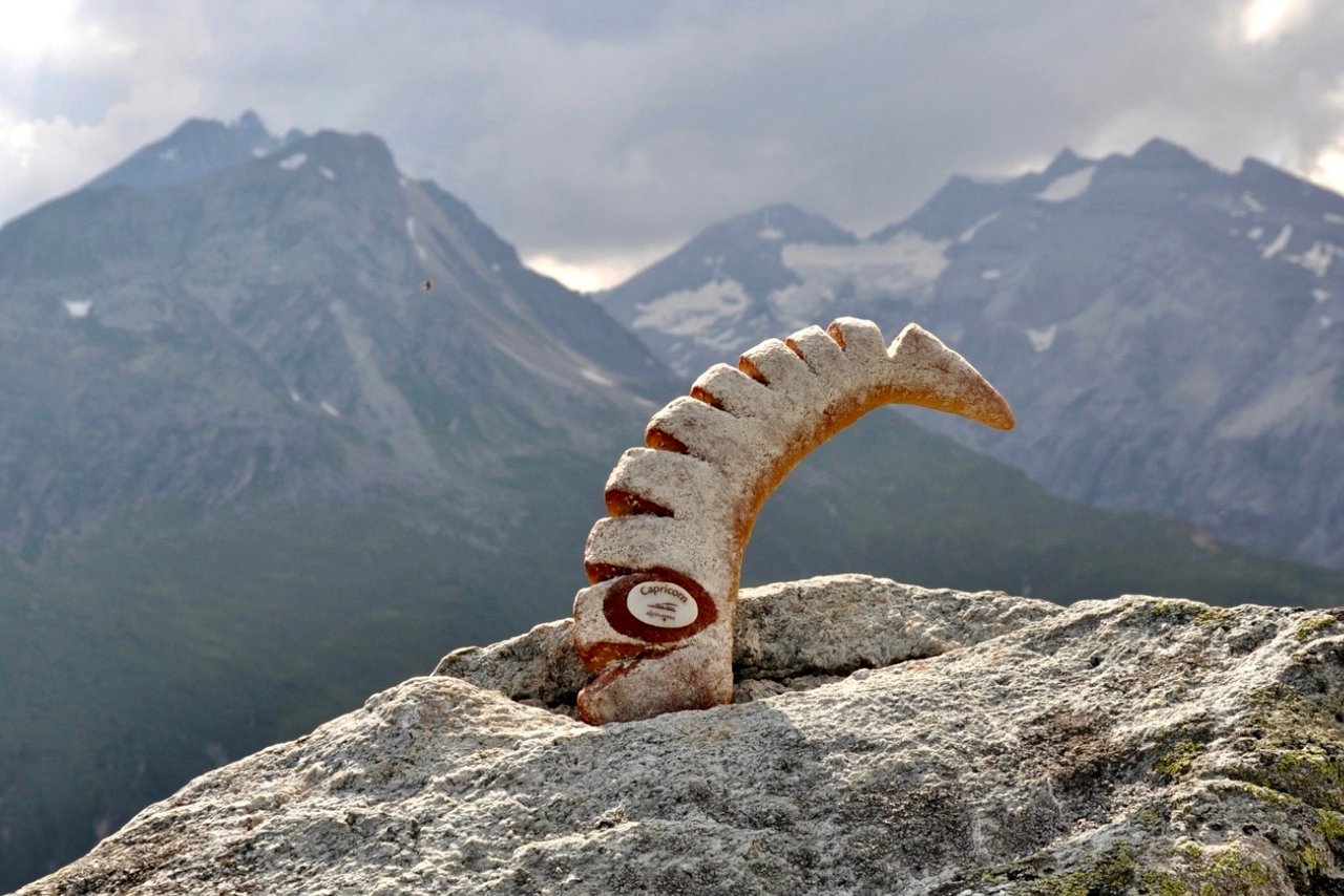 Das Capricorn-Brot von Alpinavera, der Marketing-Plattform für regionale Landwirtschafts-Produkte aus Graubünden, Uri, Glarus und Tessin. Bild: zVg