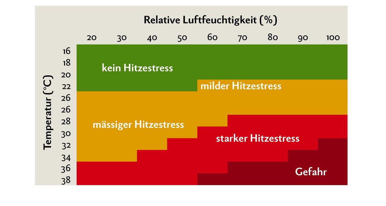 Kühe fühlen sich bei Temperaturen zwischen –5 und +18 Grad am wohlsten. Bereits bei Temperaturen ab +22 Grad können sie in Hitzestress geraten. Grafik: Nicole Geiser/Quelle: Thom/Zimbelmann und Collier 