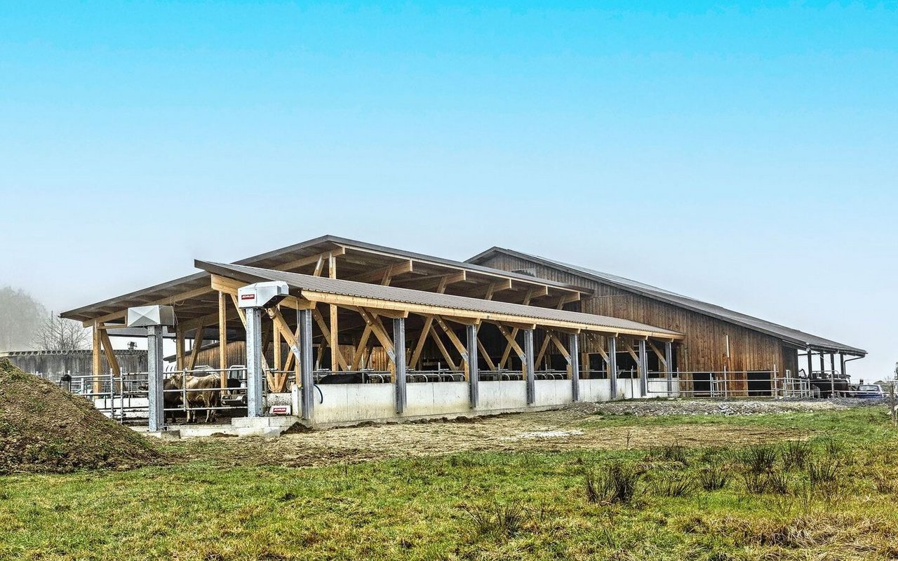 Viel Licht und Luft, ein Boden, der Halt gibt: Das Tierwohl steht beim Stall in Unterägeri im Zentrum.