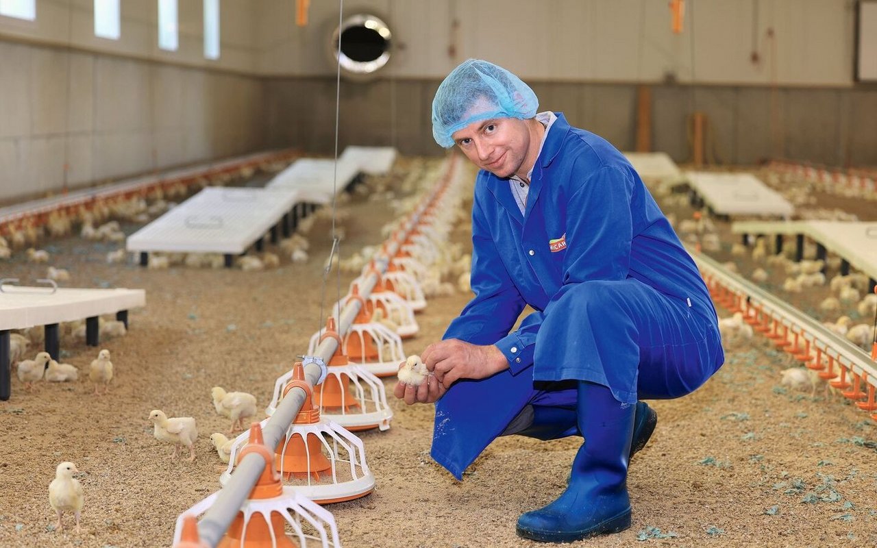 Michael Balsiger kniet am Stallboden und hält ein Küken in der Hand. Er ist in einen blauen Mantel gekleidet und trägt ein Haarnetz.