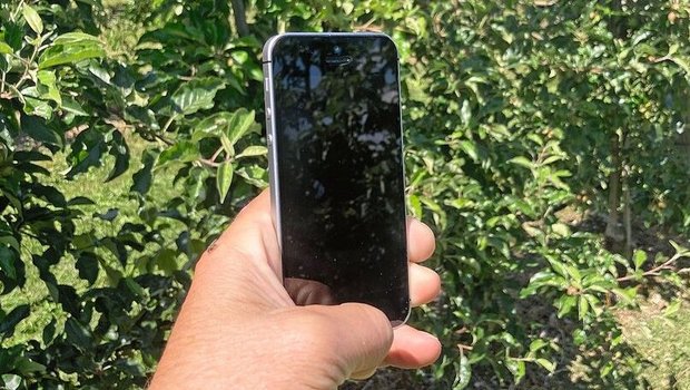 Die Prognosix-App macht die Ernteschätzung übers Smartphone. Aktuell läuft beim Schweizer Obstverband ein Feldversuch. Mit App Obsternte schätzen.