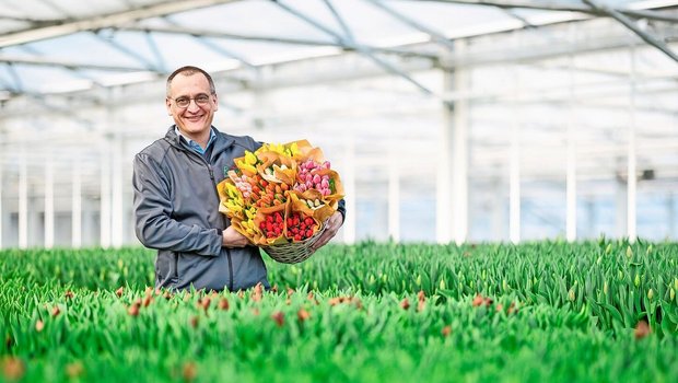 Bruno Rutishauser inmitten eines Indoor-Tulpen-Meeres. Durch die Wochen in der Tageslichthalle werden die Blumen länger haltbar.
