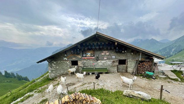 Gewitterstimmung auf der Alp Obriste Morgeten zwischen Simmental und Gantrisch. (Bild: Jürg Vollmer / «die grüne»)