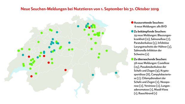 Neue Seuchenmeldungen bei Nutztieren von 1. September bis 31. Oktober 2019. Grafik: Doris Rubin, Quelle: www.dgrn.ch/infosm