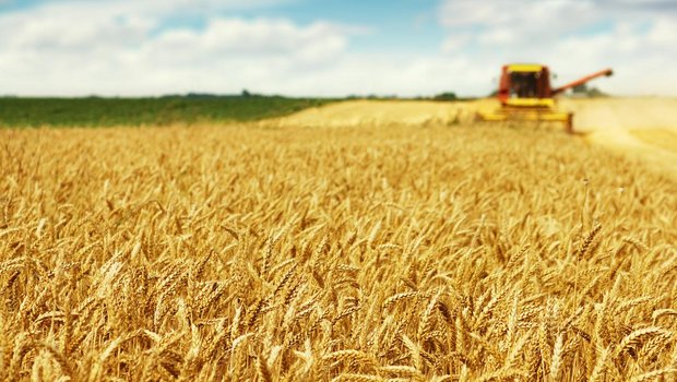 Landwirte müssen sich gegen Hautkrebs mit Sonnencrème und angepasster Kleidung schützen. Bild: Fotolia