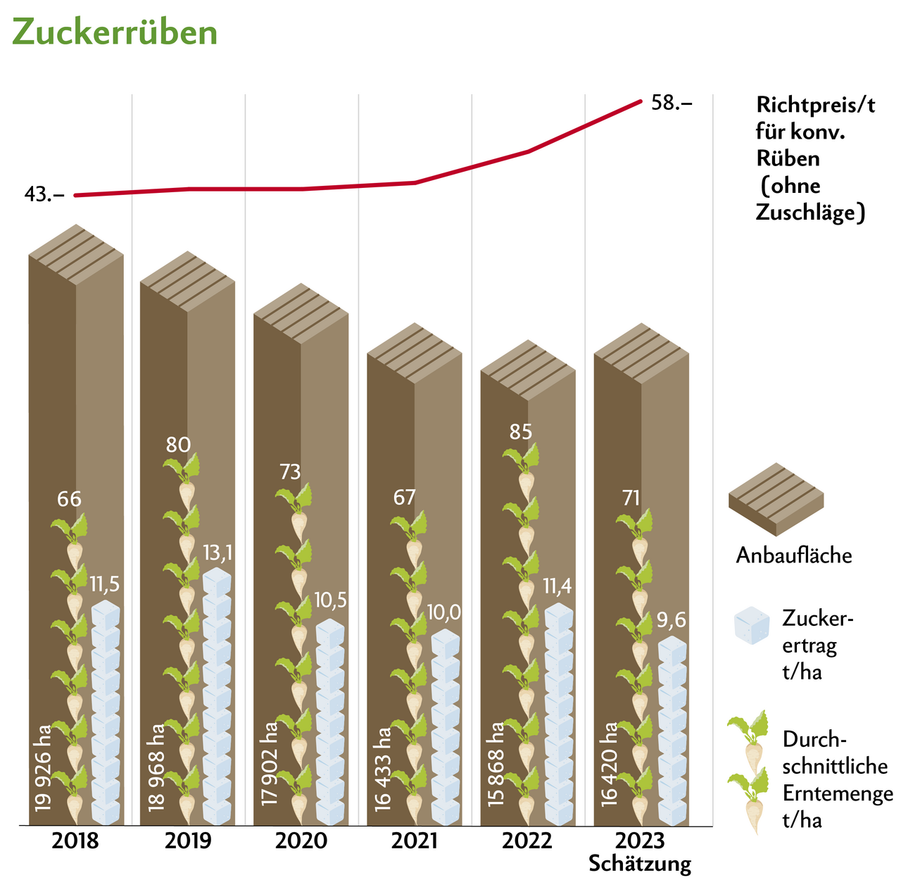 Zum ersten Mal seit Jahren steigen die Anbauflächen wieder. Der Ertrag wird auf einen historisch tiefen Wert geschätzt. Quelle: Schweizer Zucker AG