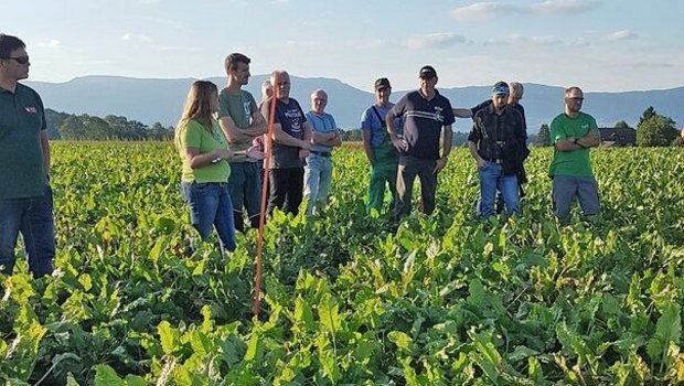 An diversen Flurumgä An diversen Flurumgängen konnten sich die Produzenten die neuen Sorten auf Praxisschlägen anschauen.