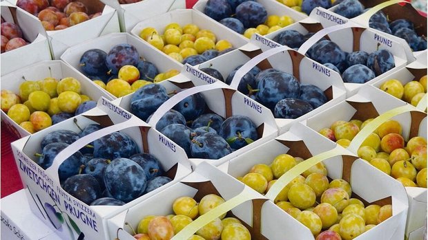 Einstieg in die Prod Einstieg in die Produktion von Früchten kann eine Möglichkeit sein, die Wertschöpfung trotz weniger Tiere zu halten oder zu steigern.