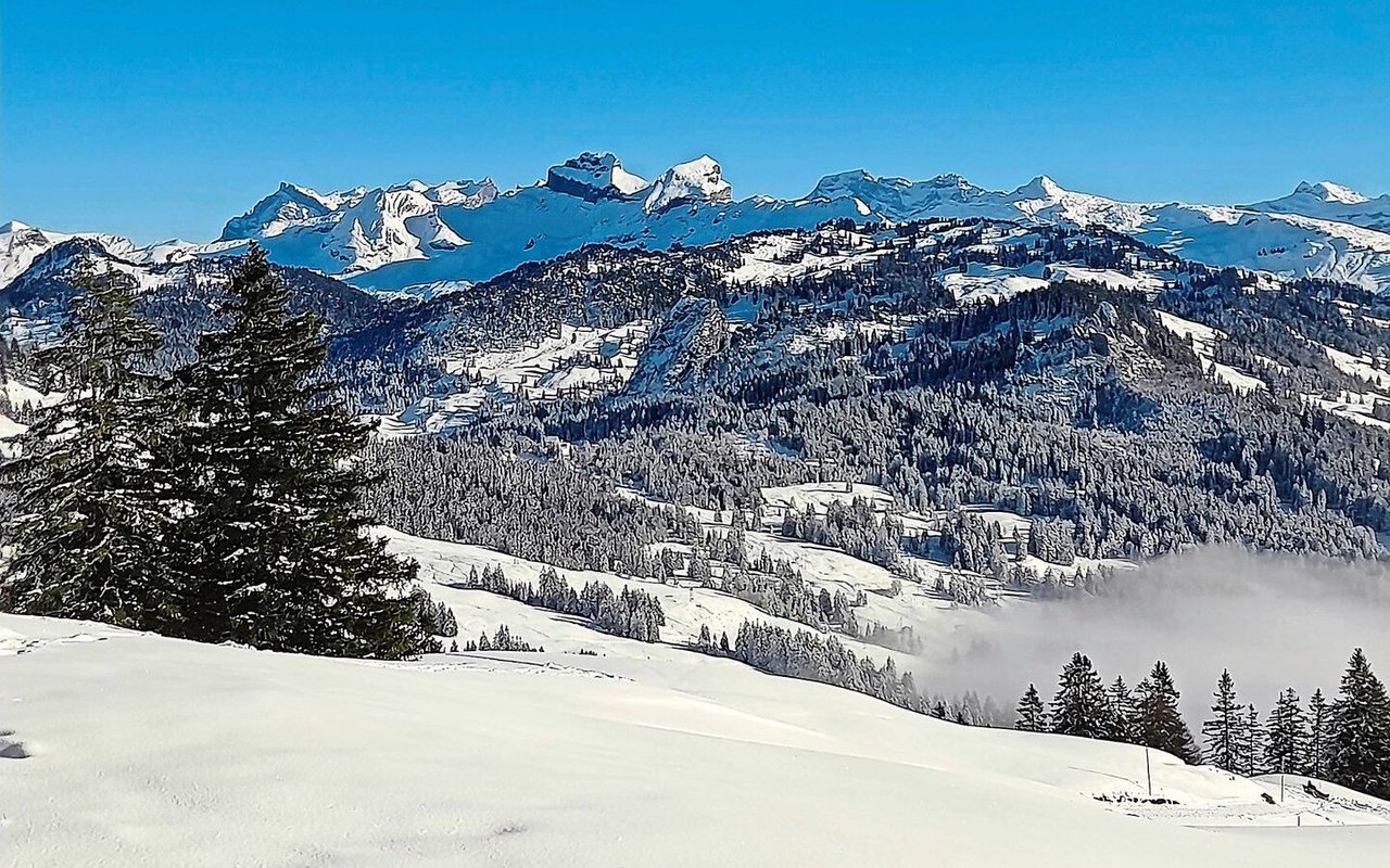 Nach sechs Jahren besucht Michèle Huber ihre Familie in der Schweiz. Ihre Tochter Gabriela sieht zum ersten Mal Schnee. Sie würde ihn am liebsten direkt mit nach Paraguay nehmen.    