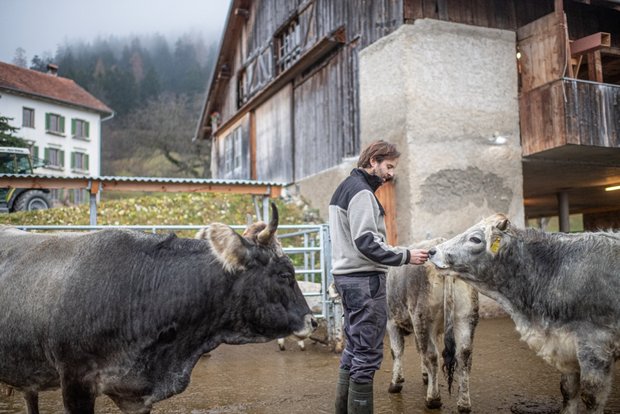 Für die Hoftötung rechnet Blunier mit einer Vor- und Nachbereitungszeit von drei Stunden. Bild: Matthias Nutt