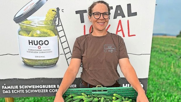 Die Ernte der Essiggurken hat auf dem Hof von Karoline Schweingruber früh angefangen. Eine reiche Ernte entlohnt die langen Arbeitstage.  