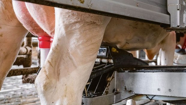 Sensoren erfassen Milchmenge, Qualität und Tiergesundheit in Echtzeit.