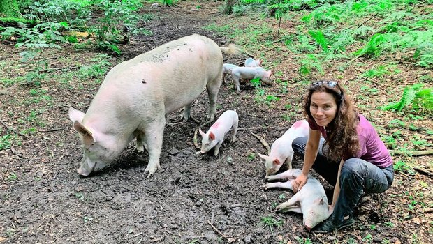 Ursula Küchler im Gehege im Wald mit den Schweinen, deren natürliches Verhalten erforscht wird.