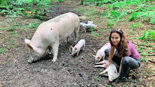 Ursula Küchler im Gehege im Wald mit den Schweinen, deren natürliches Verhalten erforscht wird.